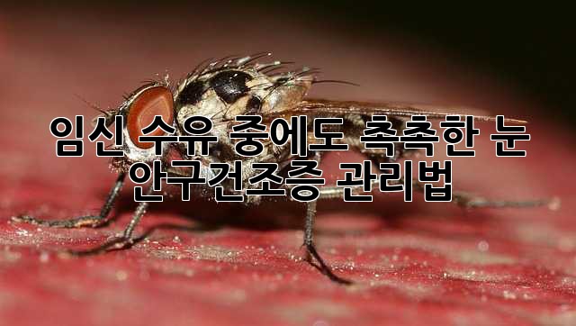 c355ed5ceb58adb54b29206823c26db2.jpg