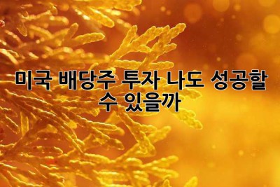 미국 배당주 투자? 나도 성공할 수 있을까? ?