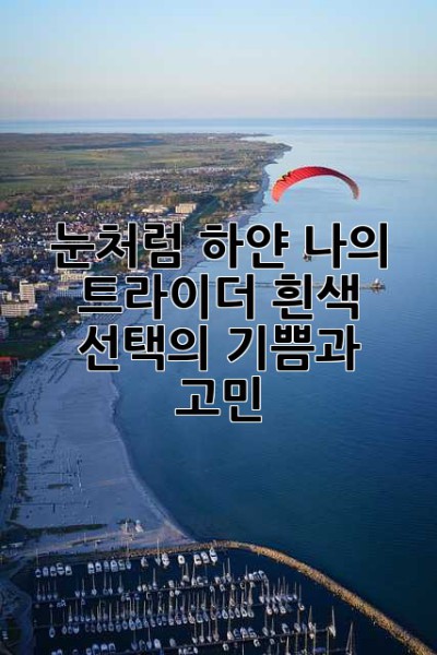 눈처럼 하얀 나의 트라이더?: 흰색 선택의 기쁨과 고민