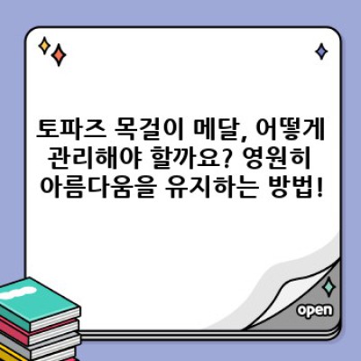 토파즈 목걸이 메달: 당신의 개성을 빛내줄 우아한 선택