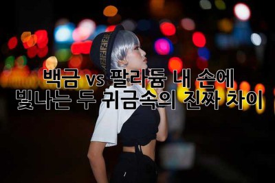 백금 vs 팔라듐: 내 손에 빛나는 두 귀금속의 진짜 차이!