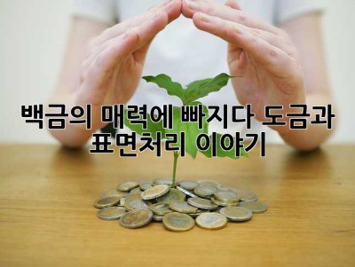 백금의 매력에 빠지다: 도금과 표면처리 이야기 ✨