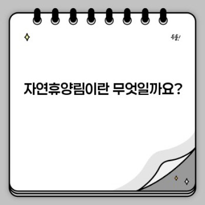 자연휴양림 완벽 가이드: 예약부터 즐길 거리까지 알아보자!