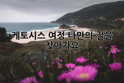 케토시스 여정, 나만의 길을 찾아가요!