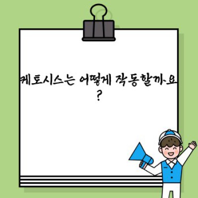 케토시스 완벽 가이드: 작동 원리, 장점, 주의사항까지!