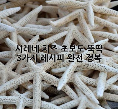 시레네 치즈, 초보도 뚝딱! 3가지 레시피 완전 정복 ✨