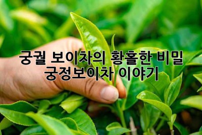 궁궐 보이차의 황홀한 비밀: 궁정보이차 이야기
