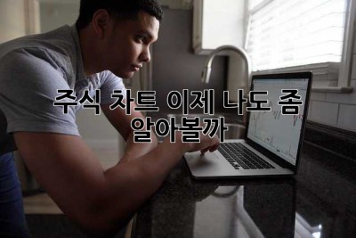 주식 차트, 이제 나도 좀 알아볼까? ?