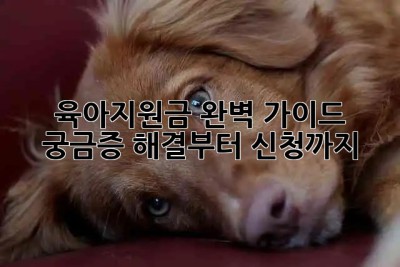 육아지원금? 완벽 가이드: 궁금증 해결부터 신청까지! ???