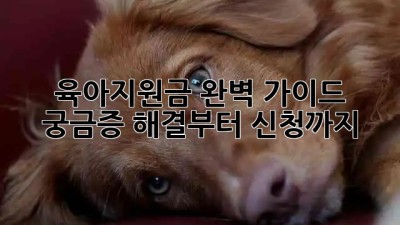 육아지원금? 완벽 가이드: 궁금증 해결부터 신청까지! ???