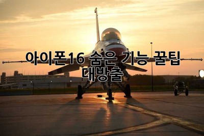 아이폰16, 숨은 기능 꿀팁 대방출! ✨