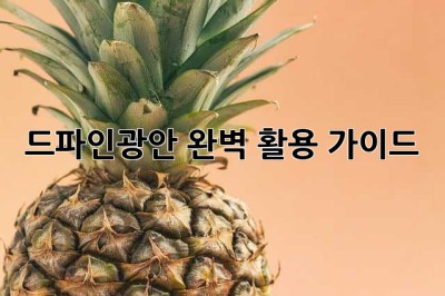 드파인광안 완벽 활용 가이드