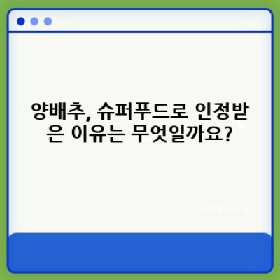 양배추 효능 완벽 가이드: 건강을 위한 슈퍼푸드의 모든 것