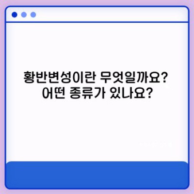 황반변성, 궁금증 완벽 해결! 증상부터 치료, 예방까지 A to Z