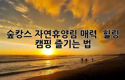 숲캉스? 자연휴양림 매력 & 힐링 캠핑 즐기는 법