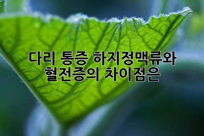 다리 통증, 하지정맥류와 혈전증의 차이점은?
