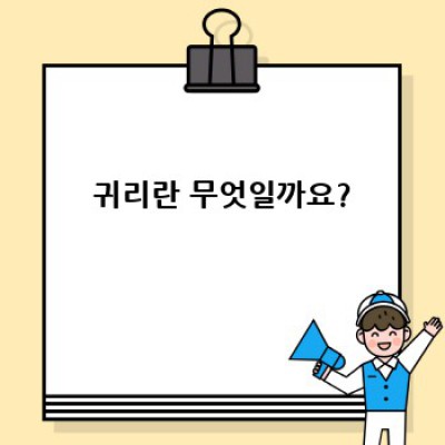 귀리효능: 건강한 삶을 위한 귀리의 놀라운 효능 완벽 가이드