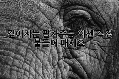 깊어지는 팔자주름, 이젠 걱정 붙들어 매세요! ✨
