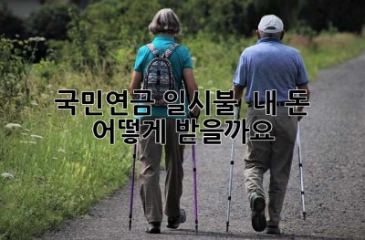국민연금 일시불?  내 돈, 어떻게 받을까요? ?