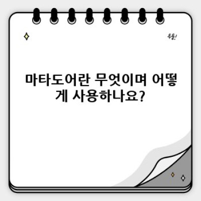 마타도어 완벽 가이드: 기능, 사용법, 역사까지 한눈에!