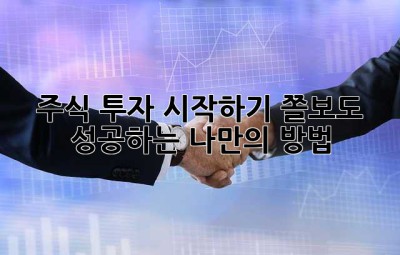 주식 투자 시작하기: 쫄보도 성공하는 나만의 방법