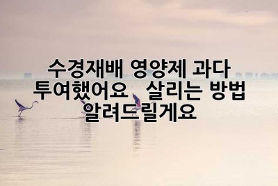 수경재배, 영양제 과다 투여했어요? ?  살리는 방법 알려드릴게요!