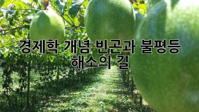 경제학 개념: 빈곤과 불평등 해소의 길