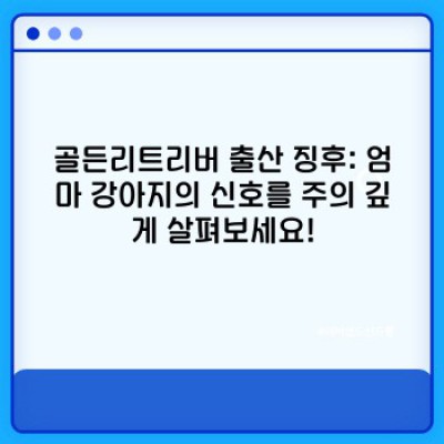골든리트리버 출산 가이드: 건강한 출산과 엄마 강아지 케어 완벽 정리